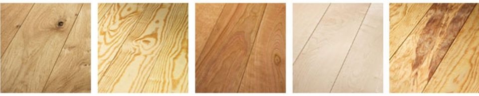 Mange lokale naturtræer til vores massive trægulve Mange lokale naturtræer til vores massive trægulve